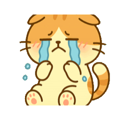 Spring Greetings  Scottish Fold Edition