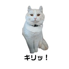 genzo_20251029234740