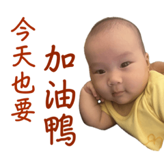 12725姞寶-檸檬-芋泥_78910