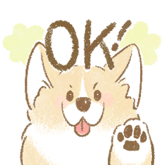 soft and fluffy corgi.