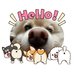 Arissara_20251029133354