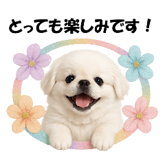かわいいペキニーズの犬スタンプ