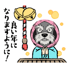 ミニチュアシュナウザー〔メンヘラ〕