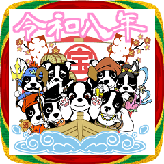 お正月のボストンテリア