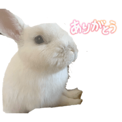 Minto_20251030094332