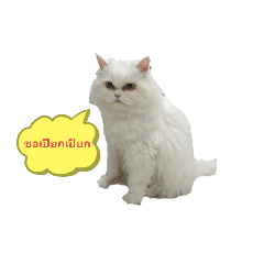 Melon_20251029162631