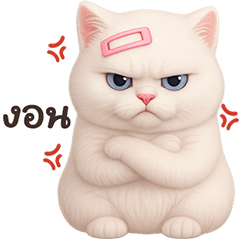 ❤️แมวขาว กิ๊บชมพู❤️