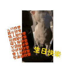 妞妞梗梗動畫貼圖