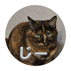 nekosan_20251029224154