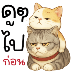 ดูๆ...ไปก่อนนนน !!!