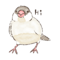 miimeru_20251029223744