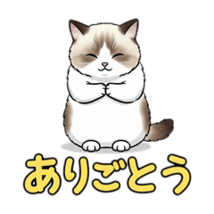 Shota.N_20251030105707