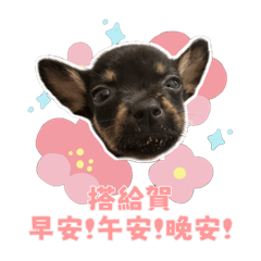 阿妹咕小玟的逆襲