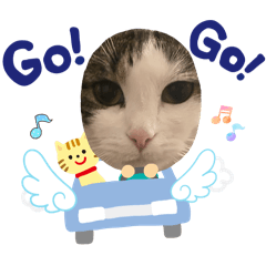 Ayachan_20251029020814