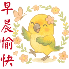 可愛金太陽鸚鵡-實用短語