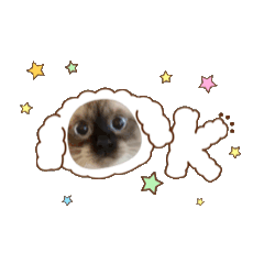 お酒とネコ好きな日常会話73