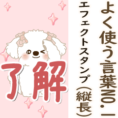 背景が動く白い垂れ耳わんこ NO.1