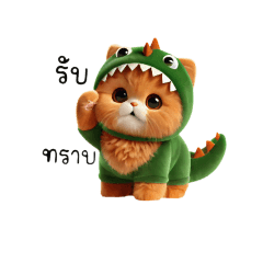 แมวส้มน้อยน่ารัก B.1