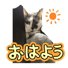 kieko0084_20251030124627