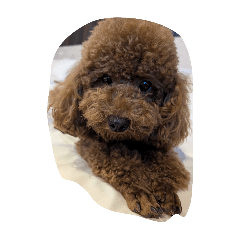 YUKARI_20251030124858