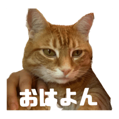 Chika_20251030131806