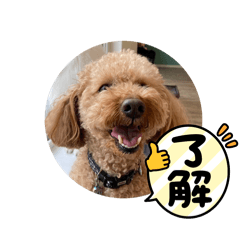 MOCOCO_20251030134159