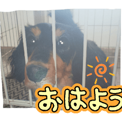 HIYORI_20251030143725