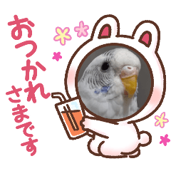 omochi_20251030141012