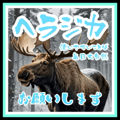 Winter Moose