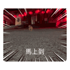 張小花專屬趴兔