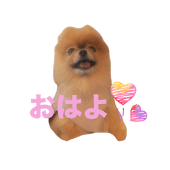 potato_20251030161123