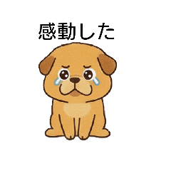 umitosora_20251030150444