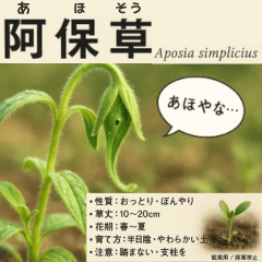 ⚫架空の草図鑑で日常会話（ダジャレ/ウケる
