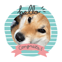 LEO & SHALA_20251030163220