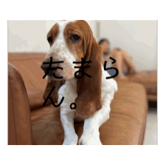 maple_20251030192835