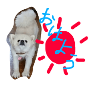 ichigo.osu