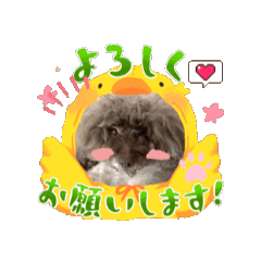 Momo3030_20251030211003