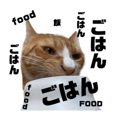 yurika_20251030232816