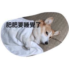 肥肥實用貼圖