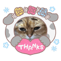 Ayumi_20251030165702