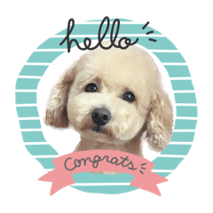 SAKURA_20251030193122