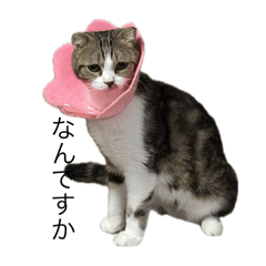 nagisa_20251030221349