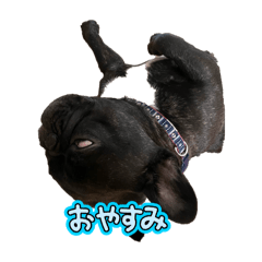 nagisa_20251030221331