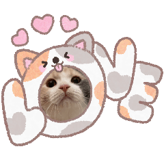 cocoA_20251030205111