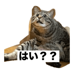 mizuki_20251030210440