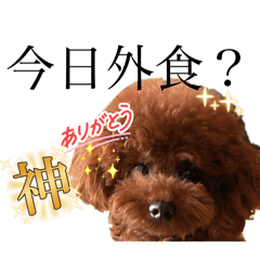 HARUKA_20251030225027