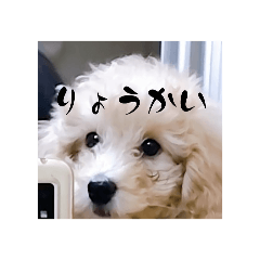 mikan_20251030180146