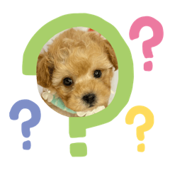 chihiro_20251030234721