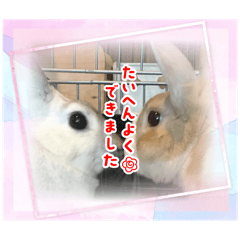 TAKASHI_20251030234812