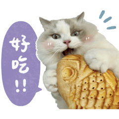 六寶的快樂日常